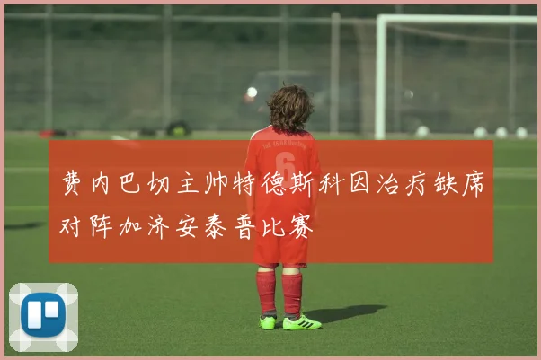 费内巴切主帅特德斯科因治疗缺席对阵加济安泰普比赛
